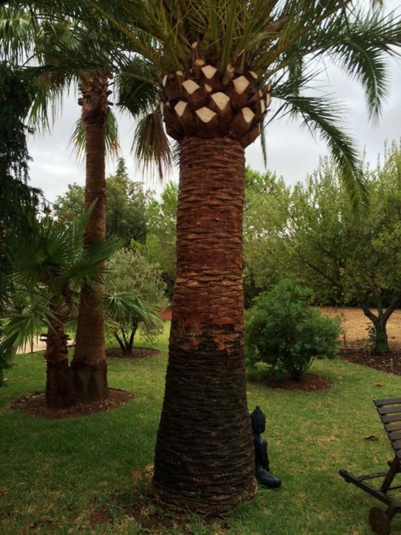 Jardi De Papallones Pollença Kültér fotó